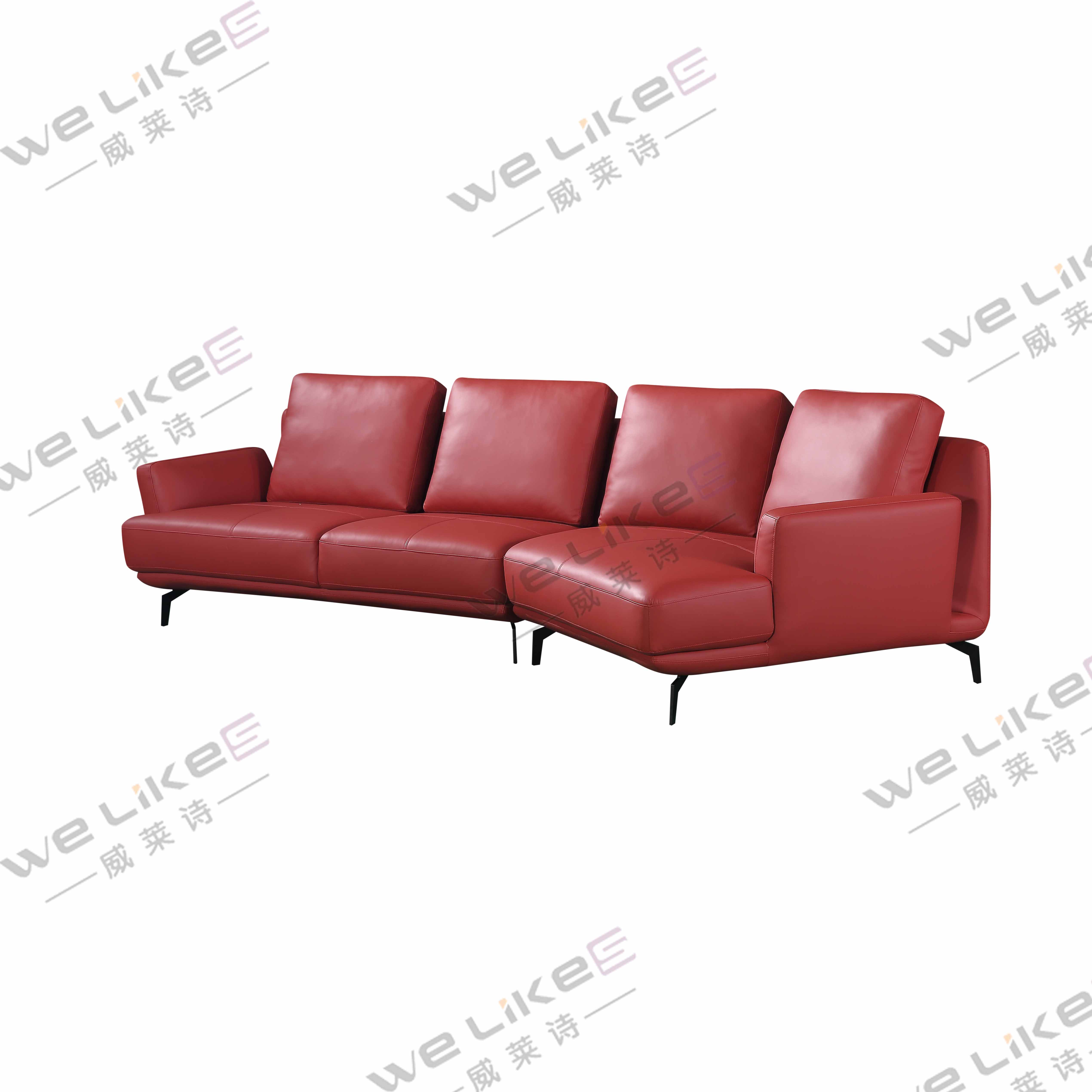 Leather Sofa-Welikes ZM828