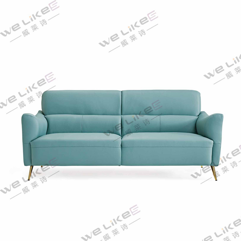 Leather Sofa-Welikes ZM839