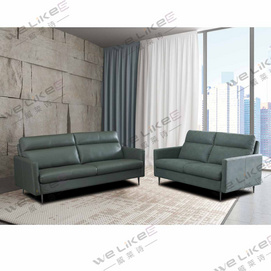 Leather Sofa-Welikes ZM809
