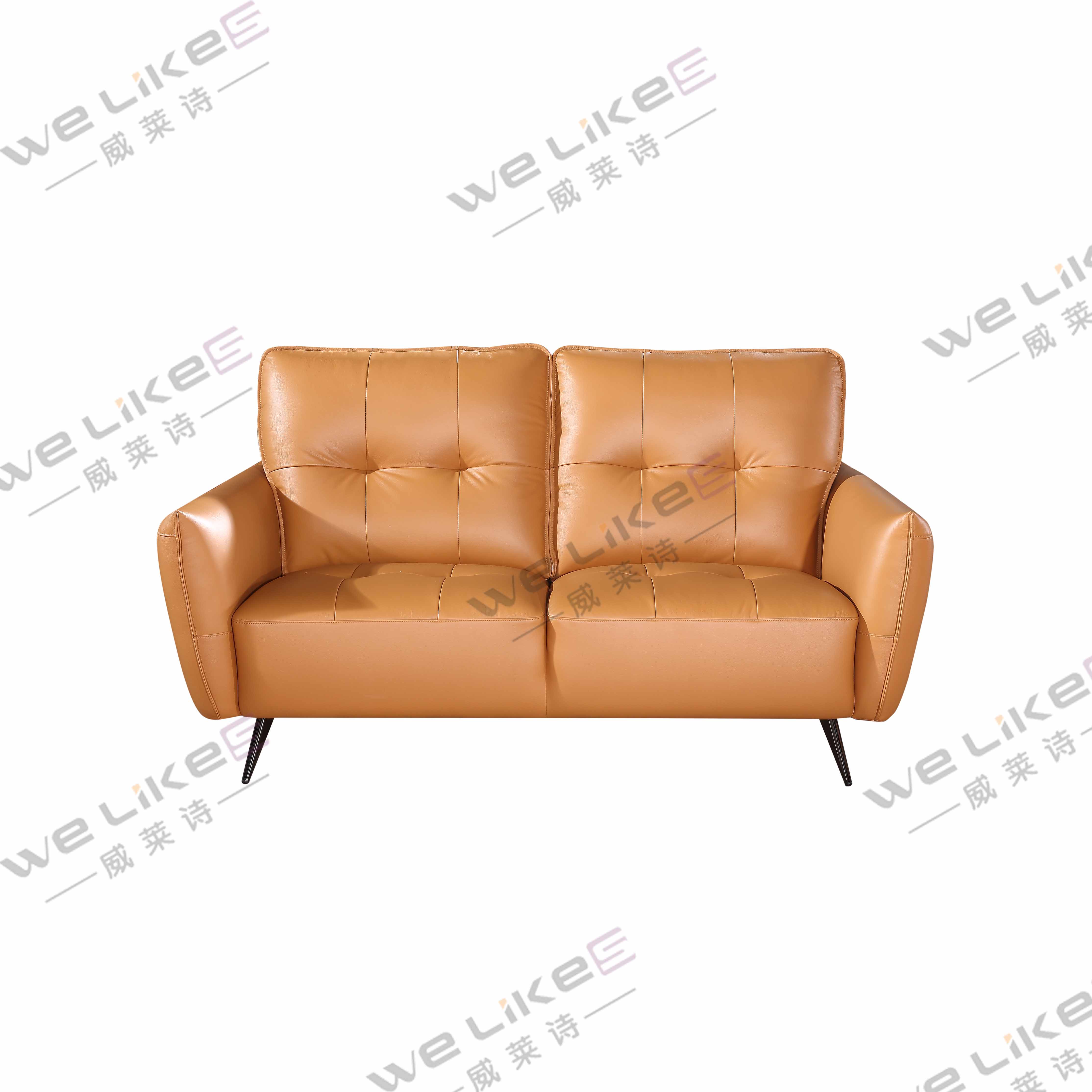 Leather Sofa-Welikes ZM818