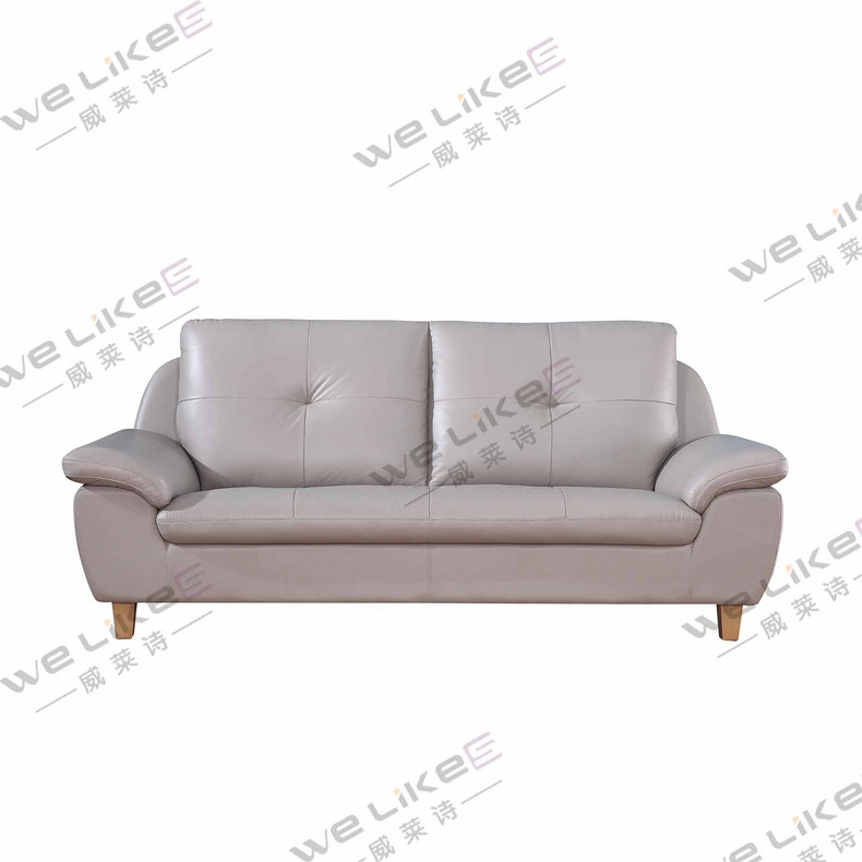 Leather Sofa-Welikes ZM830