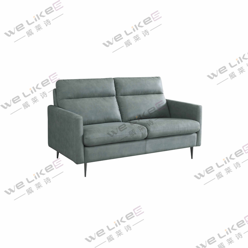 Leather Sofa-Welikes ZM809