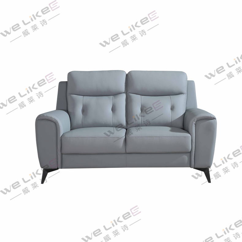 Leather Sofa-Welikes ZM817