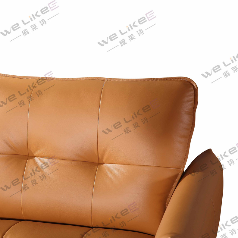 Leather Sofa-Welikes ZM818