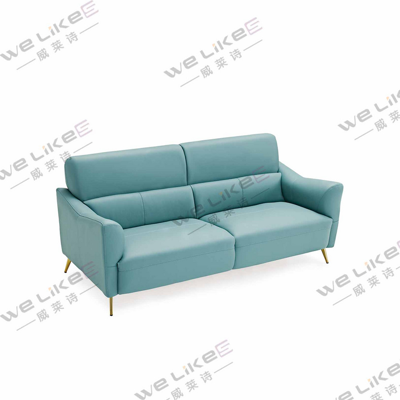 Leather Sofa-Welikes ZM839