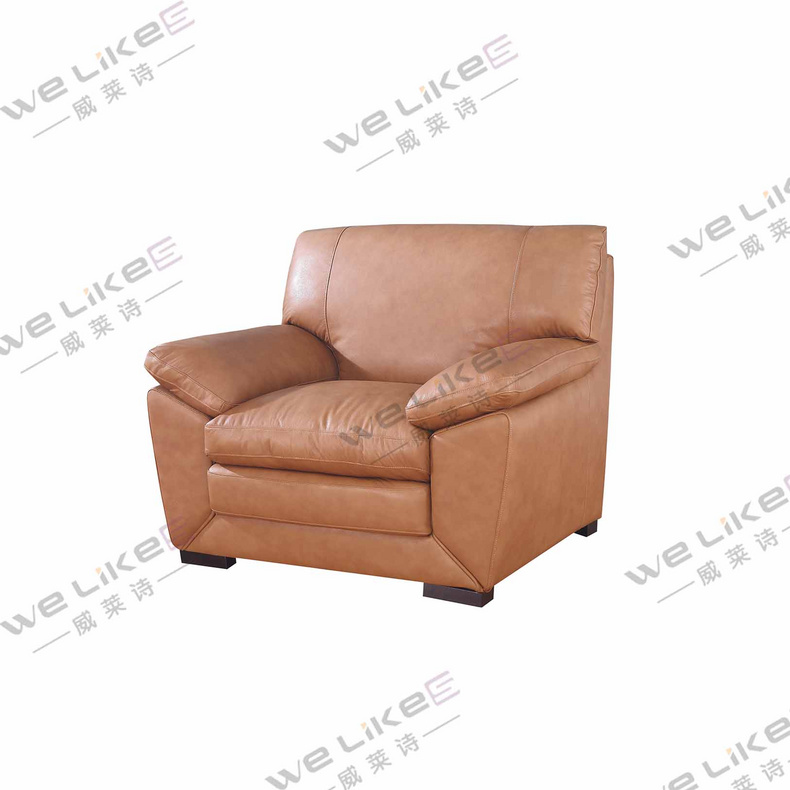 Leather Sofa-Welikes ZM831