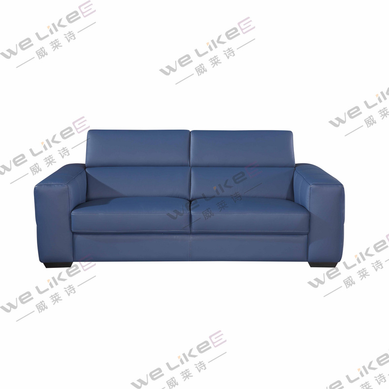 Leather Sofa-Welikes ZM819