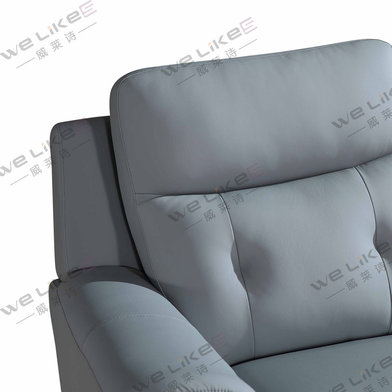 Leather Sofa-Welikes ZM817