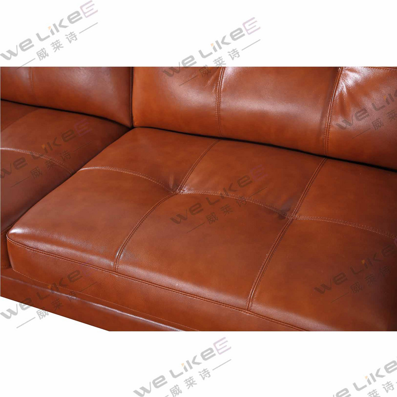 Leather Sofa-Welikes ZM832