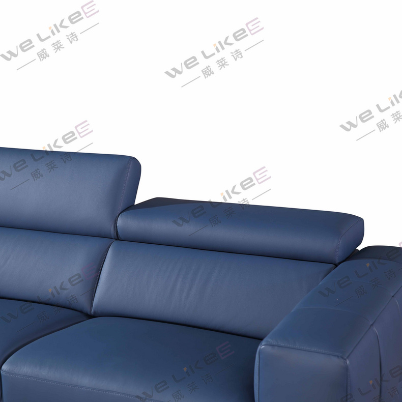 Leather Sofa-Welikes ZM819