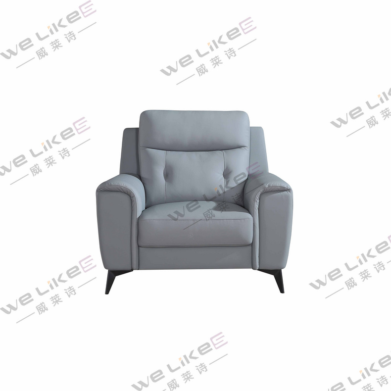 Leather Sofa-Welikes ZM817