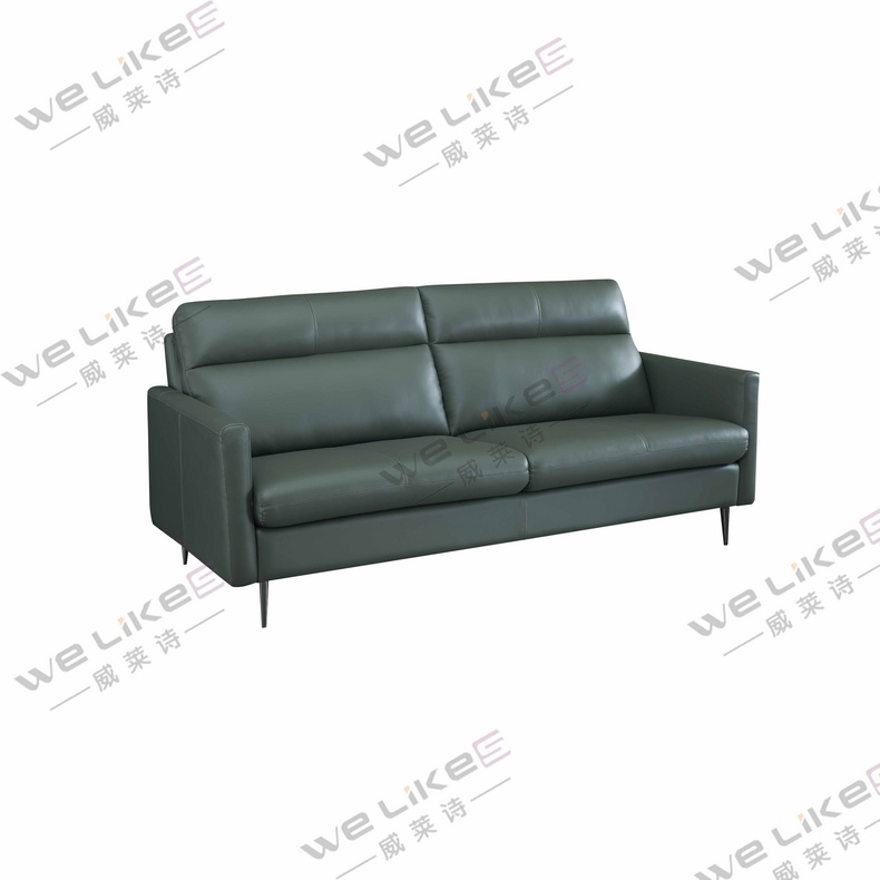 Leather Sofa-Welikes ZM809