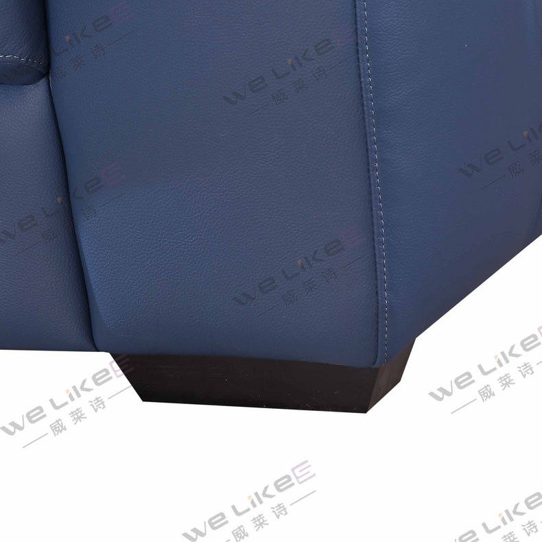 Leather Sofa-Welikes ZM819