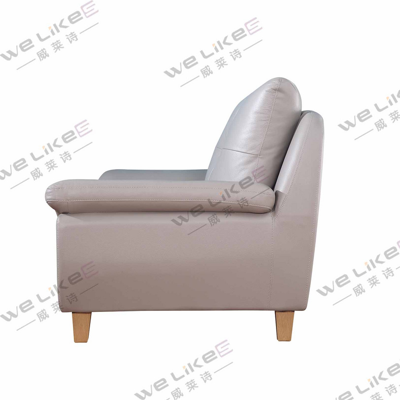 Leather Sofa-Welikes ZM830