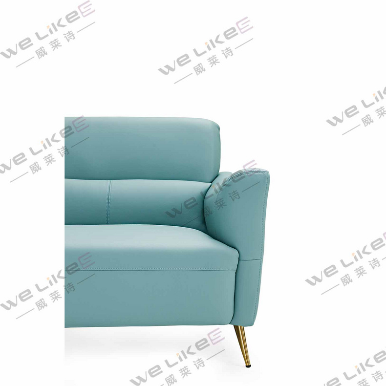 Leather Sofa-Welikes ZM839