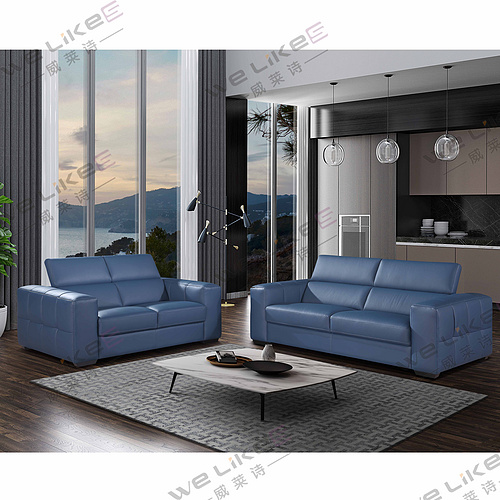 Leather Sofa-Welikes ZM819