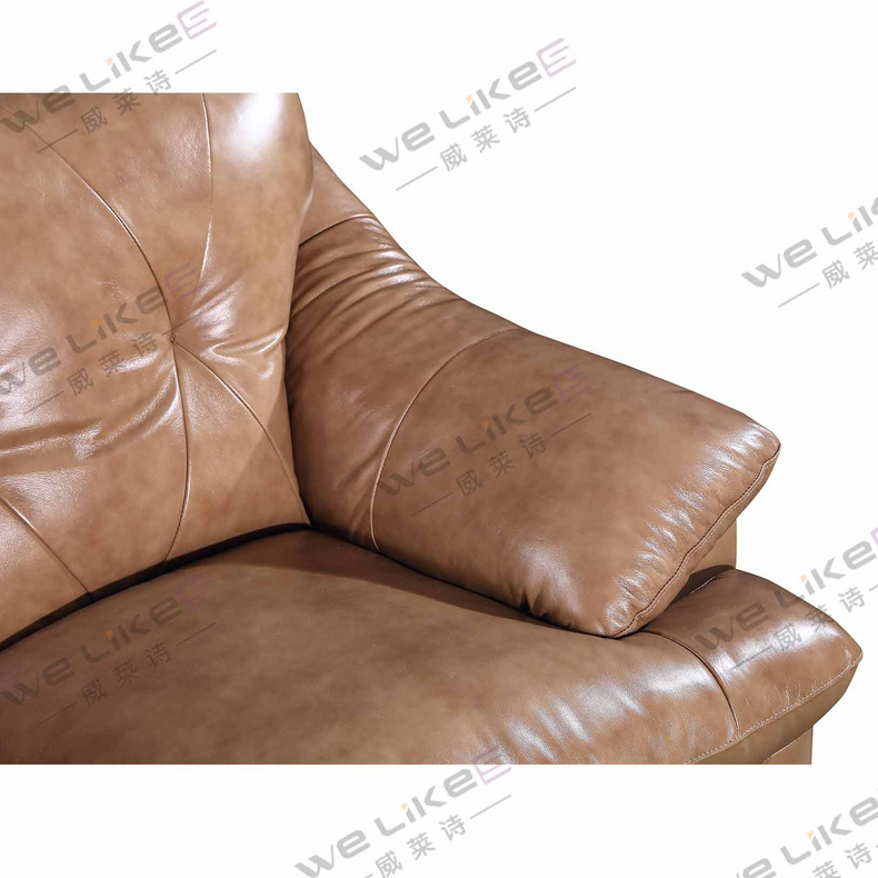 Leather Sofa-Welikes ZM837