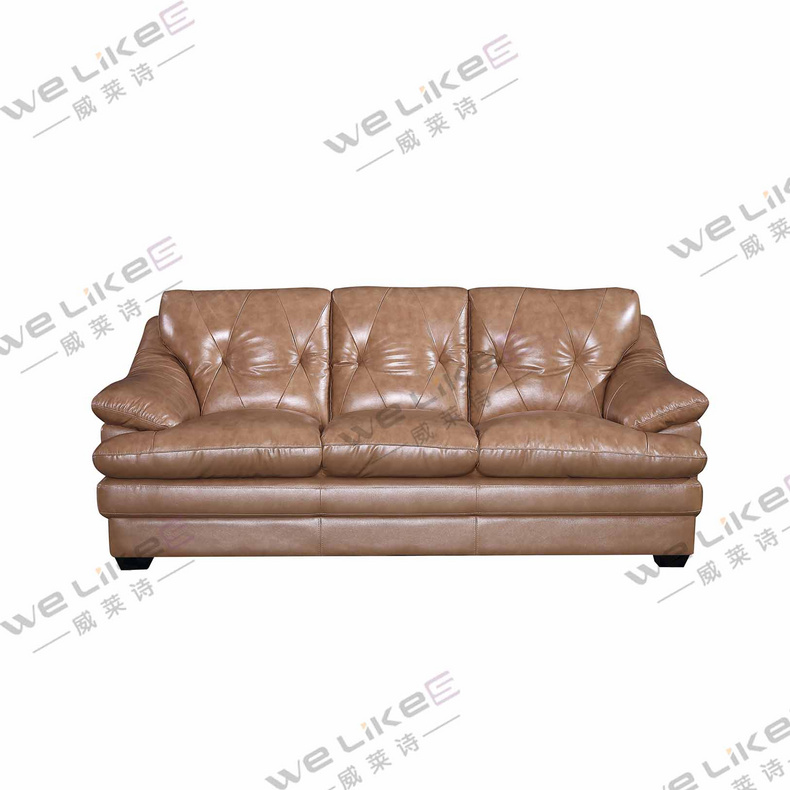 Leather Sofa-Welikes ZM837