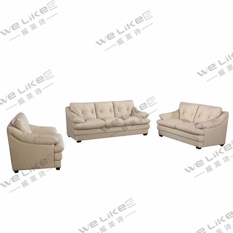 Leather Sofa-Welikes ZM837