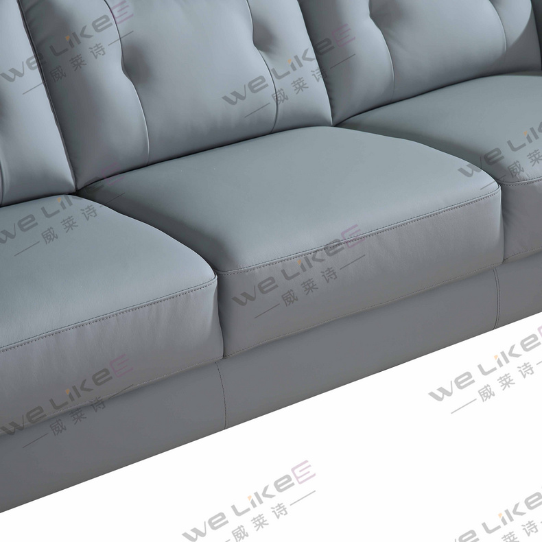 Leather Sofa-Welikes ZM817