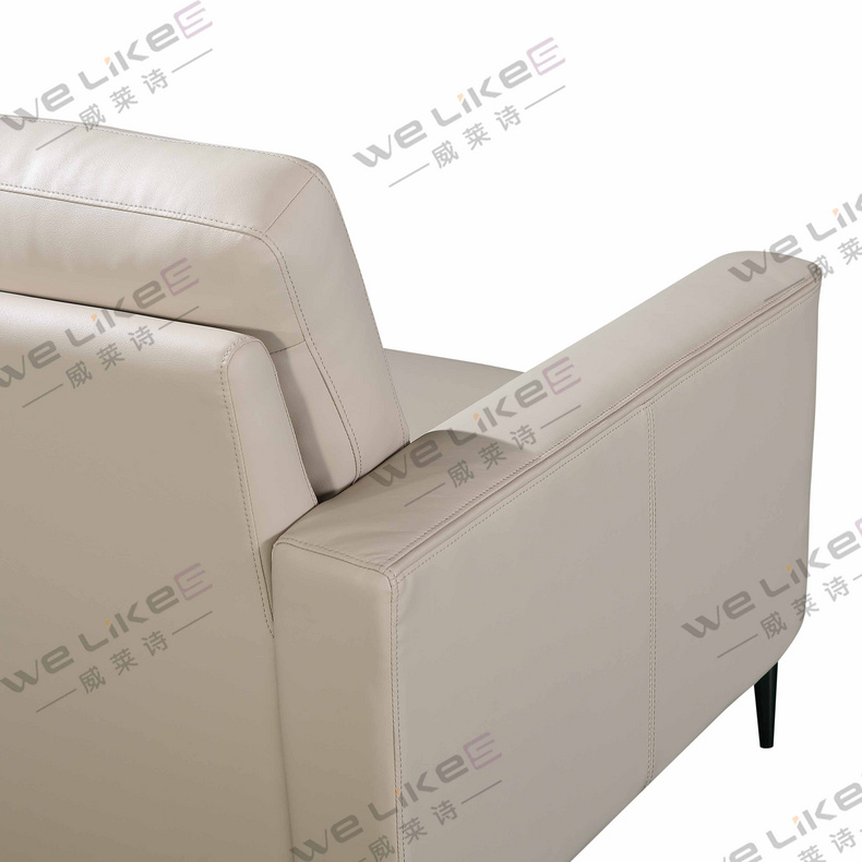 Leather Sofa-Welikes ZM829