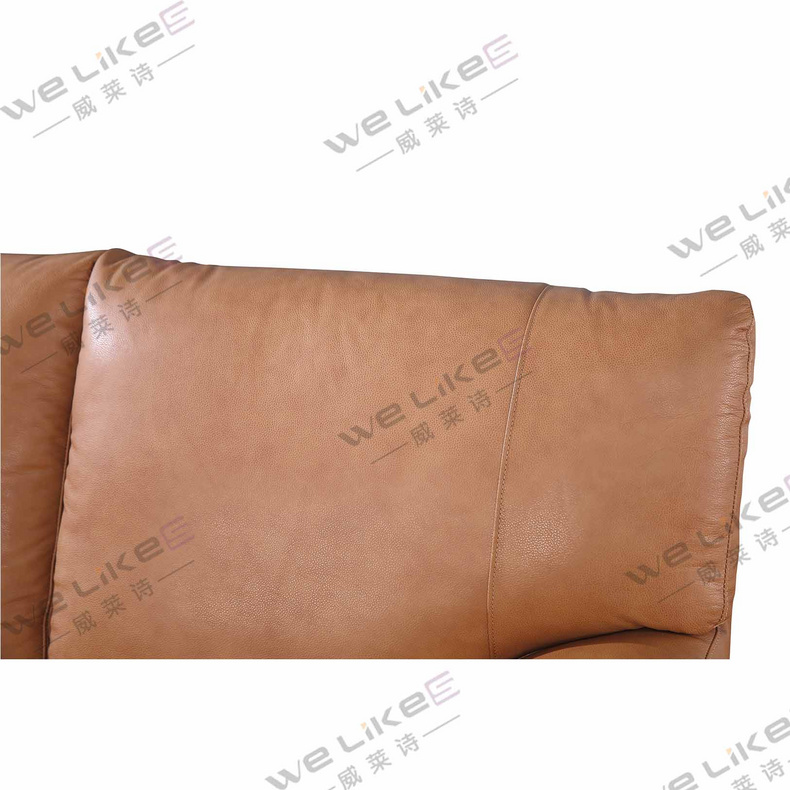 Leather Sofa-Welikes ZM831