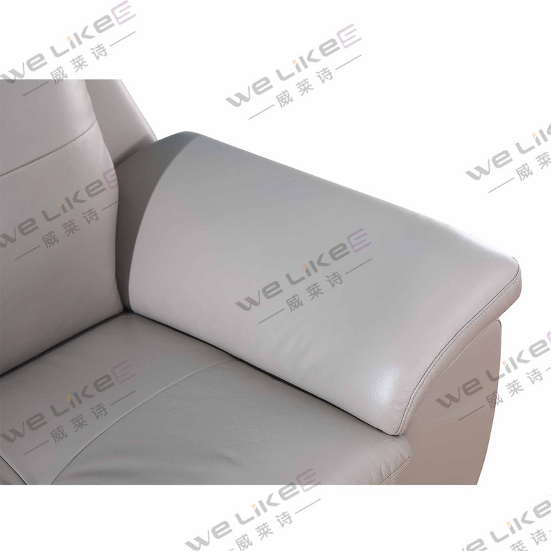 Leather Sofa-Welikes ZM830