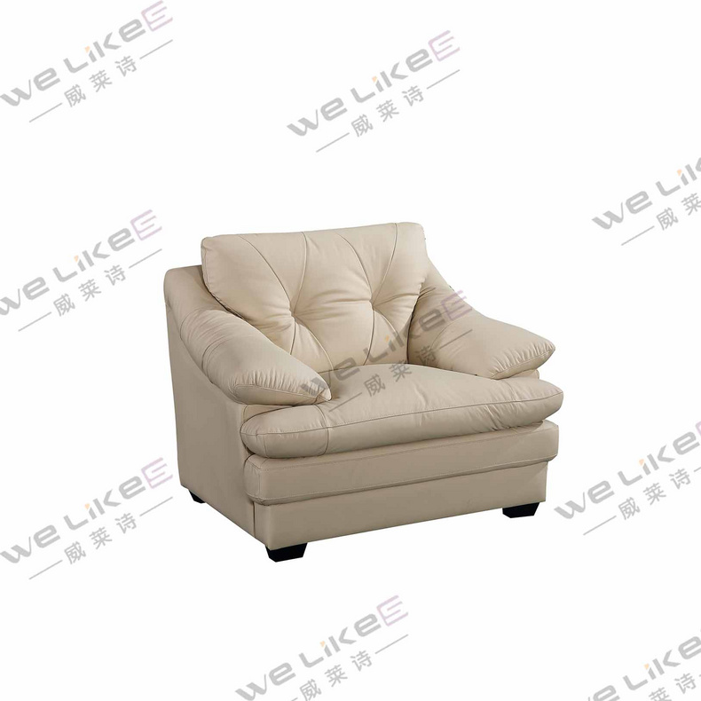 Leather Sofa-Welikes ZM837