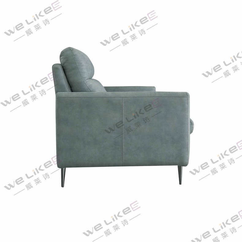 Leather Sofa-Welikes ZM809