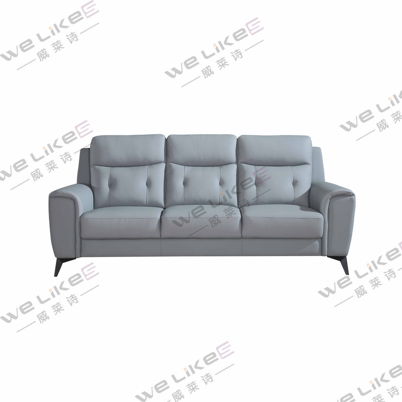 Leather Sofa-Welikes ZM817