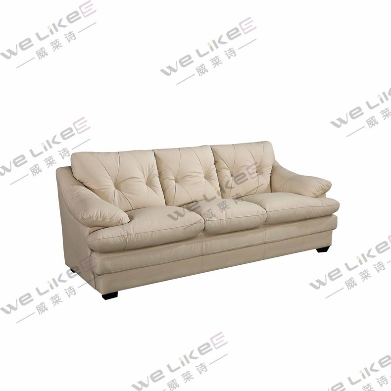 Leather Sofa-Welikes ZM837