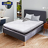 Foam Mattress - F8106