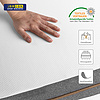Foam Mattress - F92282