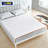 Foam Mattress - F202083