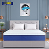 Foam Mattress - AM-F92111