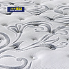 Spring Mattress - B8102-2