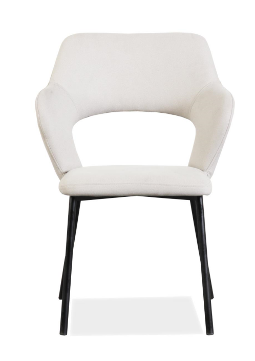 Dining Chair RDC407