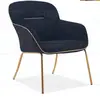 Factory Custom Modern Furniture Upholstered Velvet Fabric Leisure Lounge Accent Hotel Armchair Single Sofa Chair for Living Room,R209 Leisure Chair
