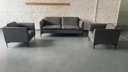 Living room  sofa sets simple sofa