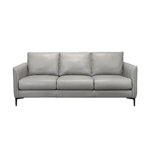 Kayla Leathr sofa