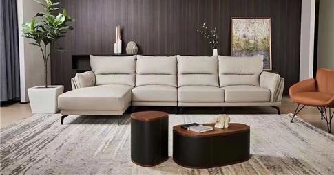 Living sofa nodic luxury style