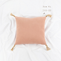 Hema-OEM 100% Cotton cushion with Tassel 2333-001