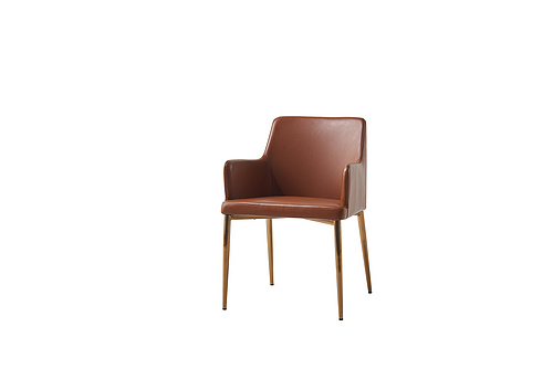Leisure Chair L20011