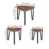 Coffe Table Set of 3