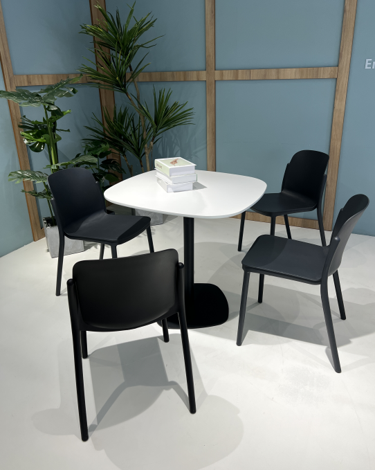 Garden Chair/Fashion Dining Chair PP-857