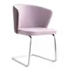 DC- 256 DINING CHAIR