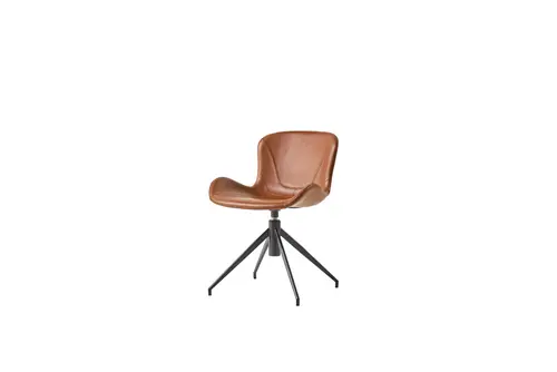 Dining chair-L21009