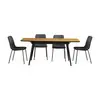 4 Seater Extendable Dining Table--FYA084