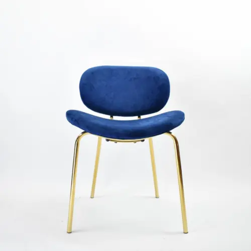 Good design  Dinning Chair Velvet Chair