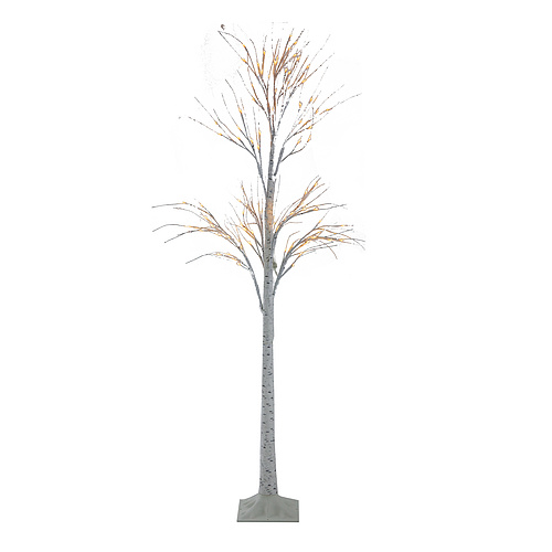Tree With String Lights